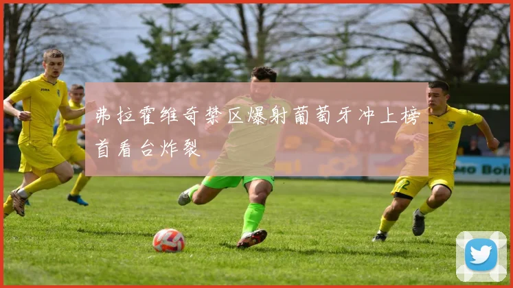 弗拉霍维奇禁区爆射葡萄牙冲上榜首看台炸裂