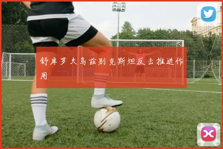 舒库罗夫乌兹别克斯坦反击推进作用
