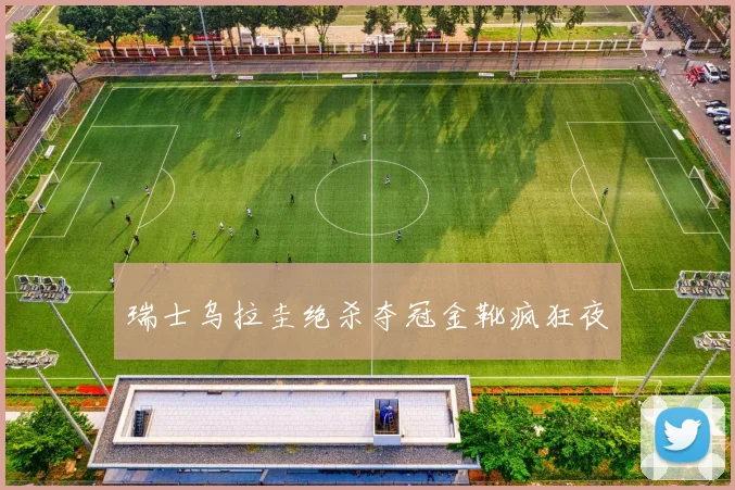 瑞士乌拉圭绝杀夺冠金靴疯狂夜