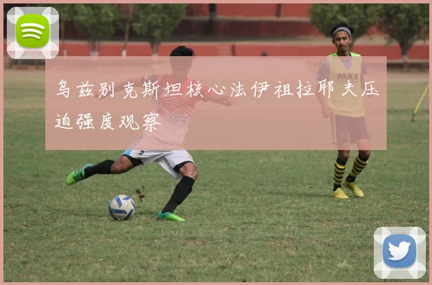 乌兹别克斯坦核心法伊祖拉耶夫压迫强度观察