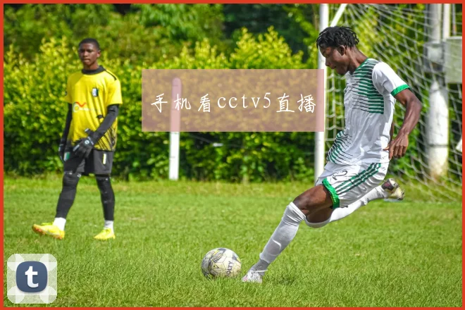 手机看cctv5直播