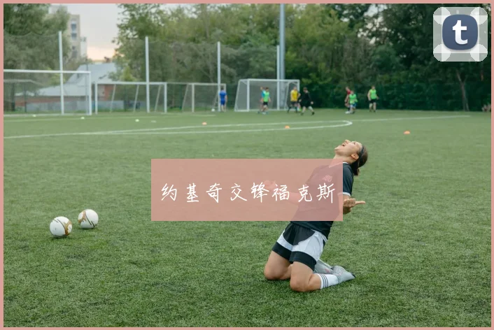 约基奇交锋福克斯