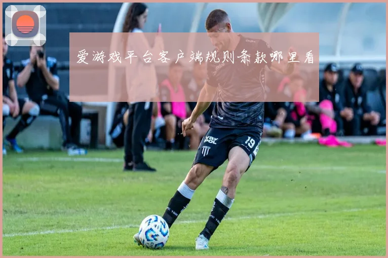 爱游戏平台客户端规则条款哪里看