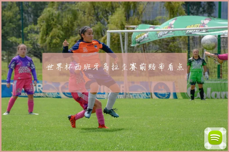 世界杯西班牙乌拉圭赛前赔率看点
